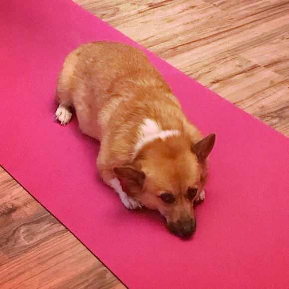 About Me! - Picture 4 of 4